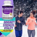 organic-elderberry-capsules-with-sambucu-3.jpg