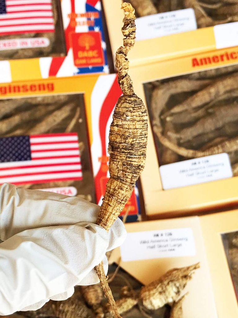 8oz227gbox-american-wild-ginseng-1520-ye-2.jpg