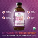 andi-lynns-organic-harvest-berry-syrup-f-2.jpg