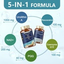 totaria-urolithin-a-supplement-1000mg-wi-2.jpg