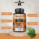 apollos-hegemony-ginger-root-500-mg-extr-3.jpg