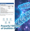 urolithin-a-supplement-1000-mg-270-softg-3.jpg