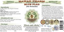 blue-flag-alcohol-free-liquid-extract-or-2.jpg