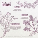 wishgarden-herbs-kick-ass-sinus---herbal-4.jpg