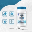 pronervium---pronervium-advanced-nerve-h-5.jpg