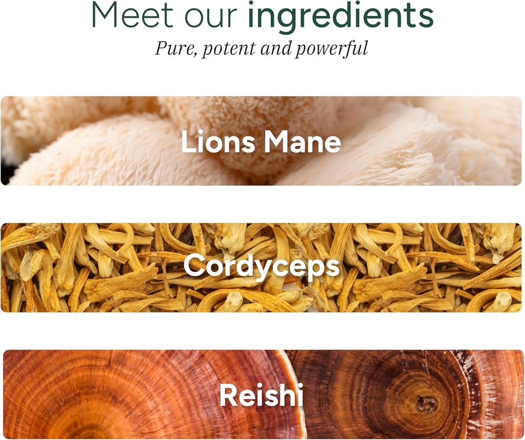 mushroom-gummies-no-added-sugar-lions-ma-3.jpg