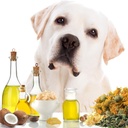 the-blissful-dog-paw-butter-moisturizer--4.jpg