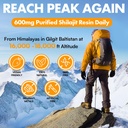shilajit-resin-shilajit-for-men-women-sh-6.jpg