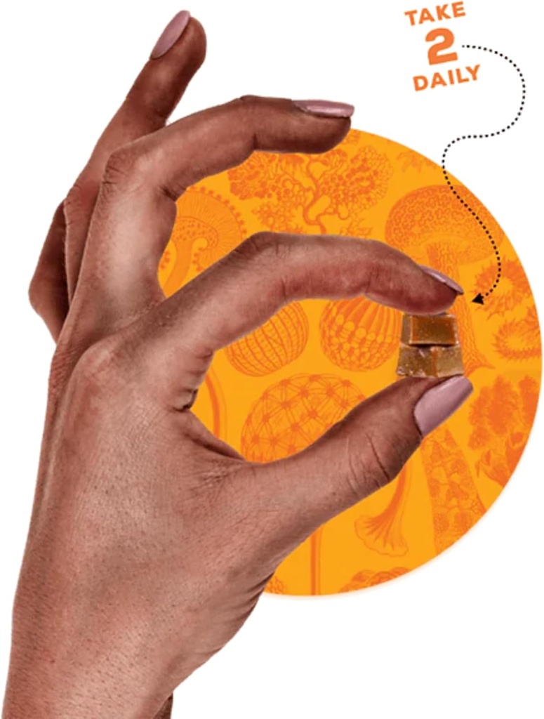omfg-mushroom-gummies-for-brain-health-s-2.jpg