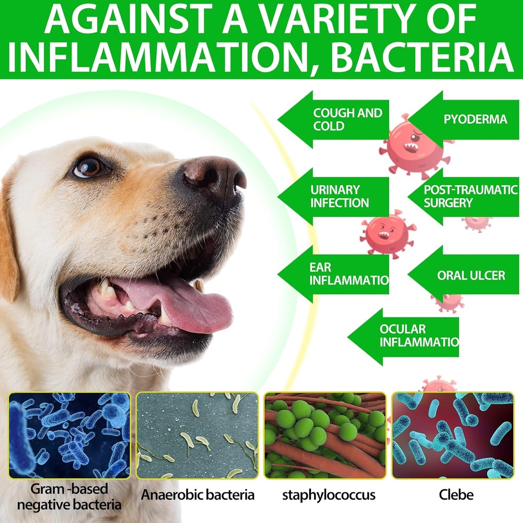 2-pack-antibiotics-for-dogs-natural-anti-4.jpg