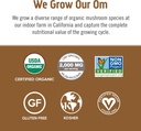 om-mushroom-superfood-coffee-latte-blend-4.jpg