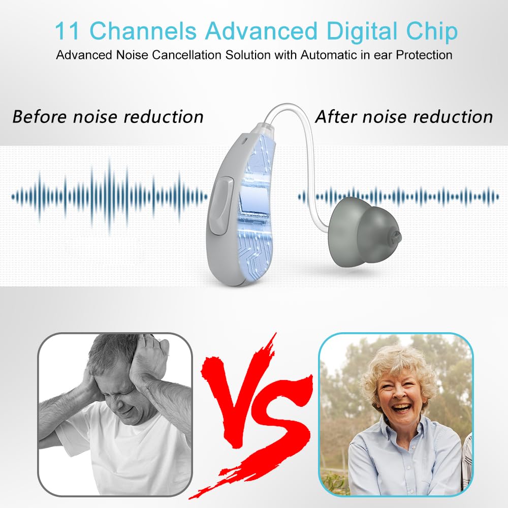 true-hearing-aids-not-amplifier-11-chann-3.jpg