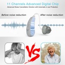 true-hearing-aids-not-amplifier-11-chann-3.jpg