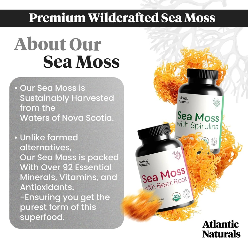 atlantic-naturals-sea-moss-superfood-bun-3.jpg