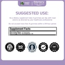 health-dose-elderberry-sambucus-gummy-vi-5.jpg