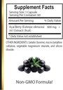 acai-berry-extract---antioxidant-rich-su-5.jpg