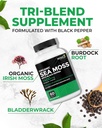 renew-actives-sea-moss-triple-action-ant-4.jpg