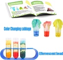 unglinga-kids-science-experiment-kit-wit-2.jpg