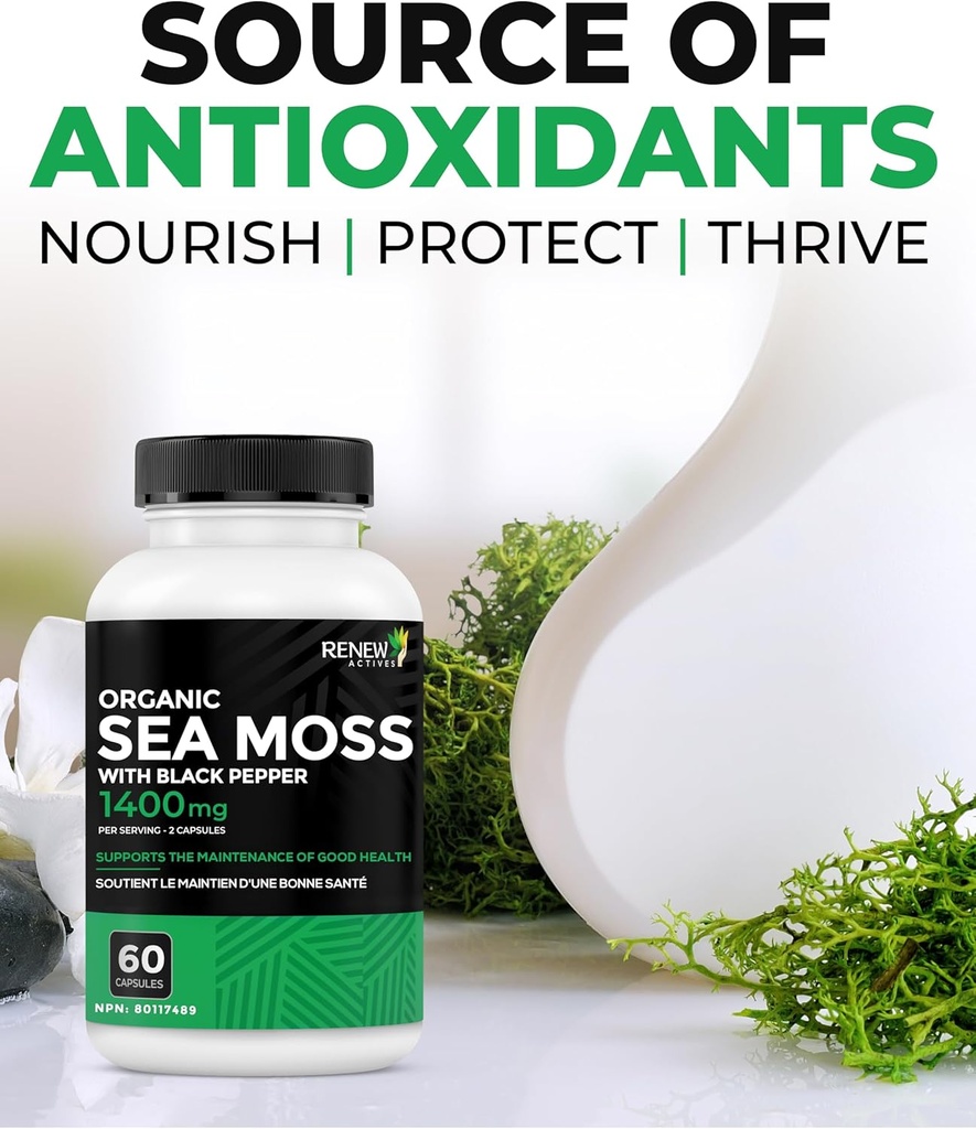 renew-actives-sea-moss-triple-action-ant-6.jpg