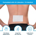 theraice-lidocaine-patches-plus-menthol--6.jpg