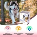 dog-and-cat-immune-and-blood-support-sup-2.jpg