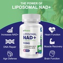900-mg-liposomal-nad-supplement-with-tra-5.jpg