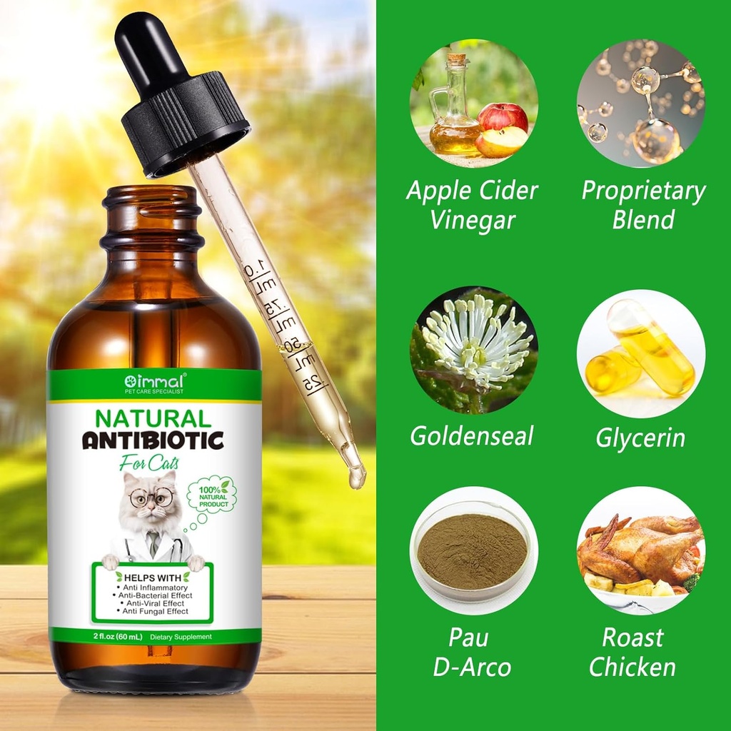 antibiotics-for-cats-premium-cat-antibio-2.jpg