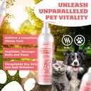 pets-2-pack-wild-alaskan-salmon-oil-blen-2.jpg
