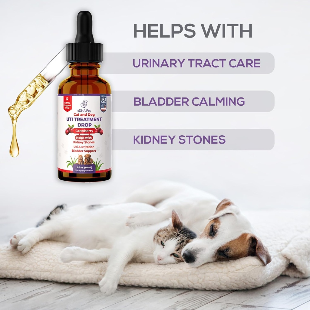 dog-uti-treatment-urinary-tract-infectio-3.jpg