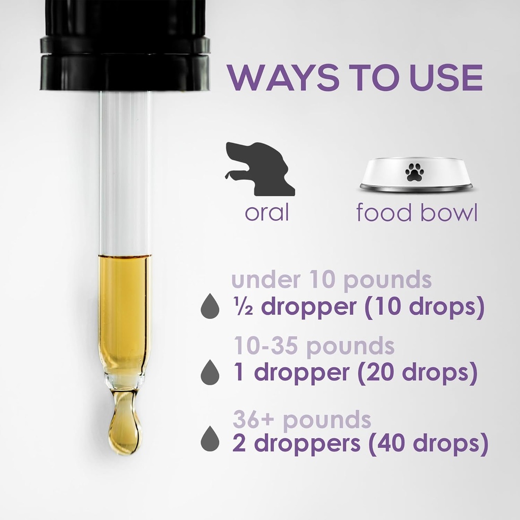 dog-uti-treatment-urinary-tract-infectio-5.jpg