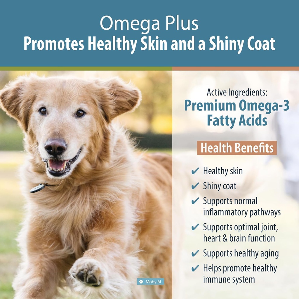 justfoodfordogs-omega-plus-premium-fish--3.jpg