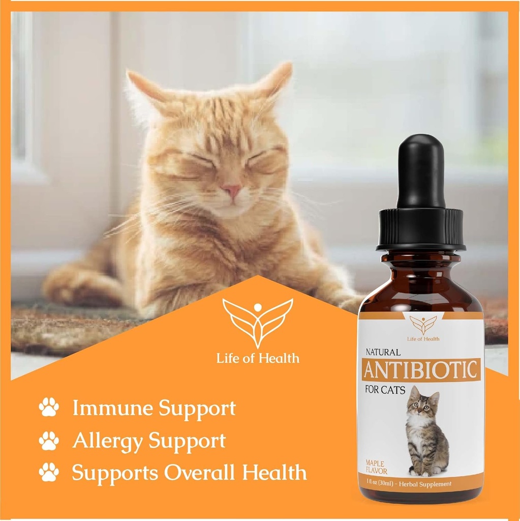 natural-antibiotics-for-cats---cat-antib-3.jpg