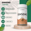 ginseng-capsules-1000mg-powder-panax-gin-5.jpg