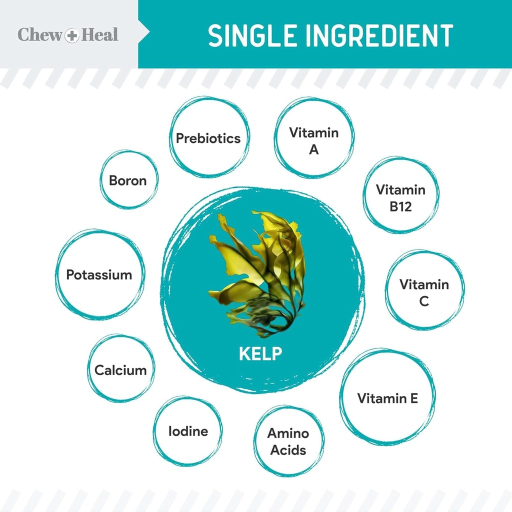 kelp-supplement-for-dogs---16-oz-of-kelp-2.jpg