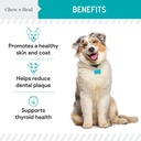kelp-supplement-for-dogs---16-oz-of-kelp-3.jpg