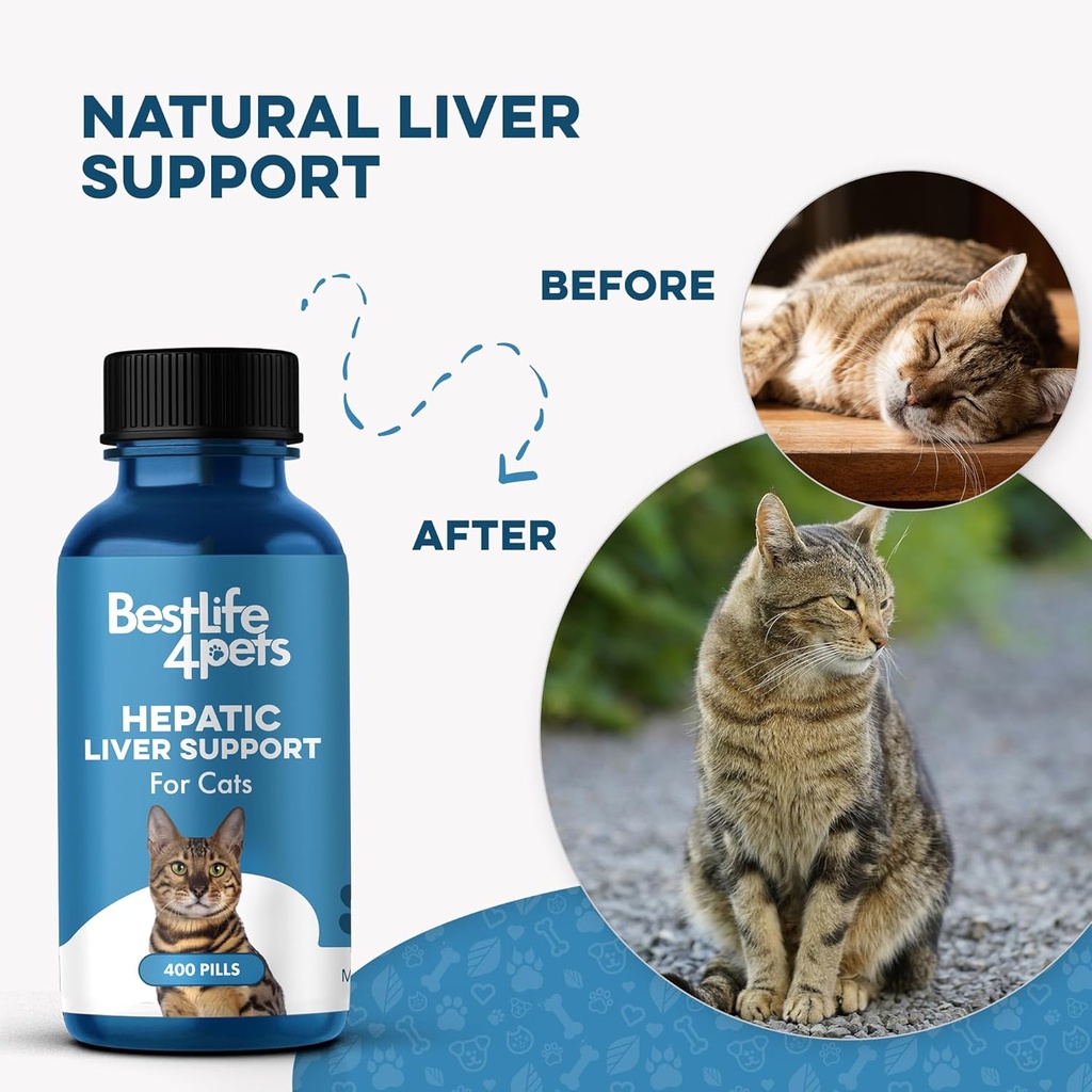 hepatic-liver-support-for-cats-dissolvab-3.jpg