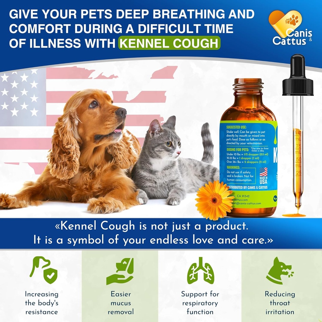 kennel-cough-treatment-for-dogs-cats-hel-5.jpg