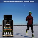 shilajit-sea-moss-lions-mane-and-ashwaga-5.jpg