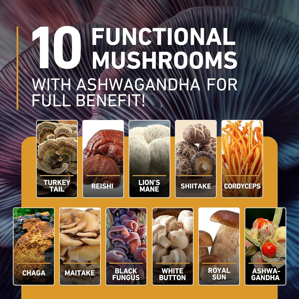 mushroom-gummies-10-blend-120-pcs---lion-5.jpg