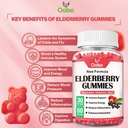 organic-elderberry-gummies-for-kids-and--2.jpg