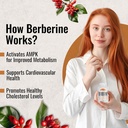 sirunes-berberine-supplement-berberine-h-4.jpg