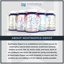 nootropics-depot-synapsa-bacopa-monnieri-3.jpg