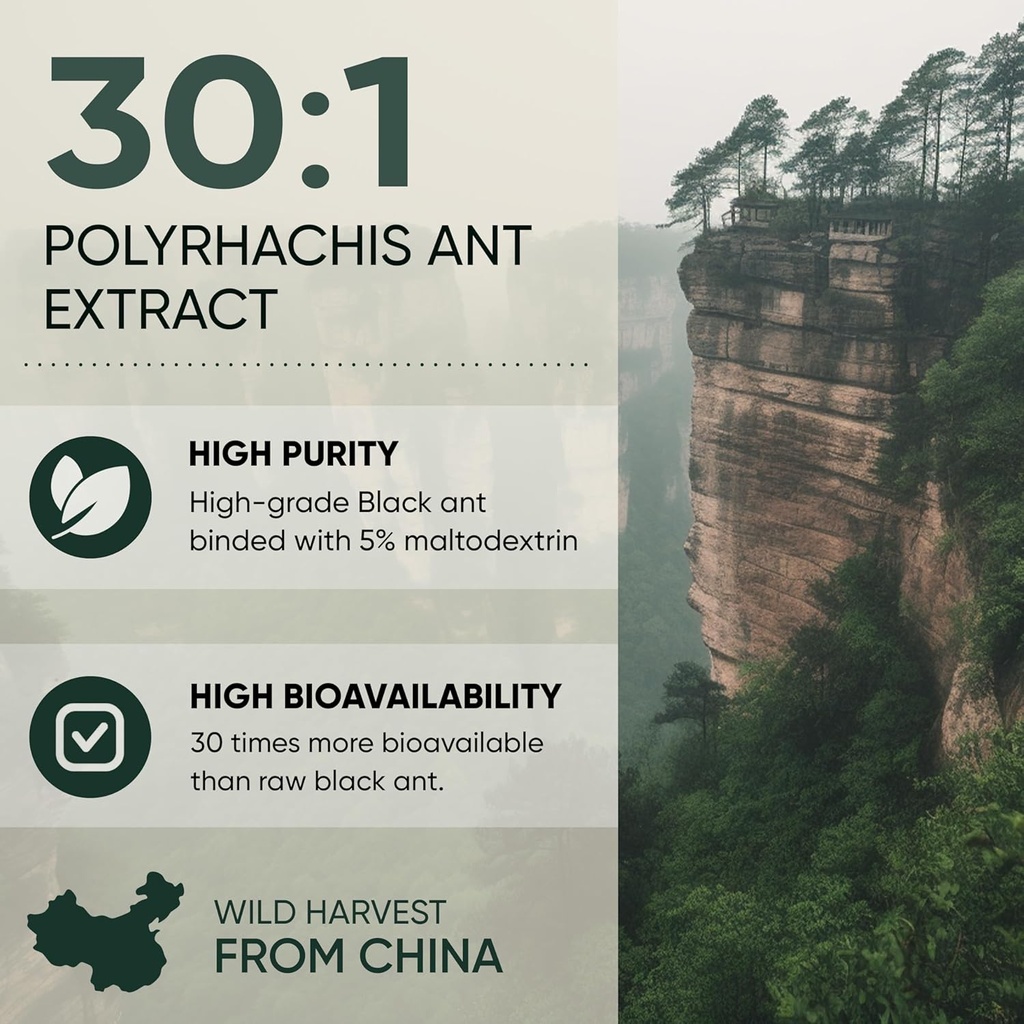 jungle-powders-black-ant-extract-powder--4.jpg