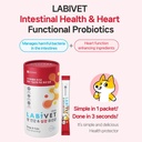 probiotics-for-dogs-and-cats-gut-health--3.jpg