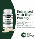 probase-nutrition-lions-mane-supplement--6.jpg