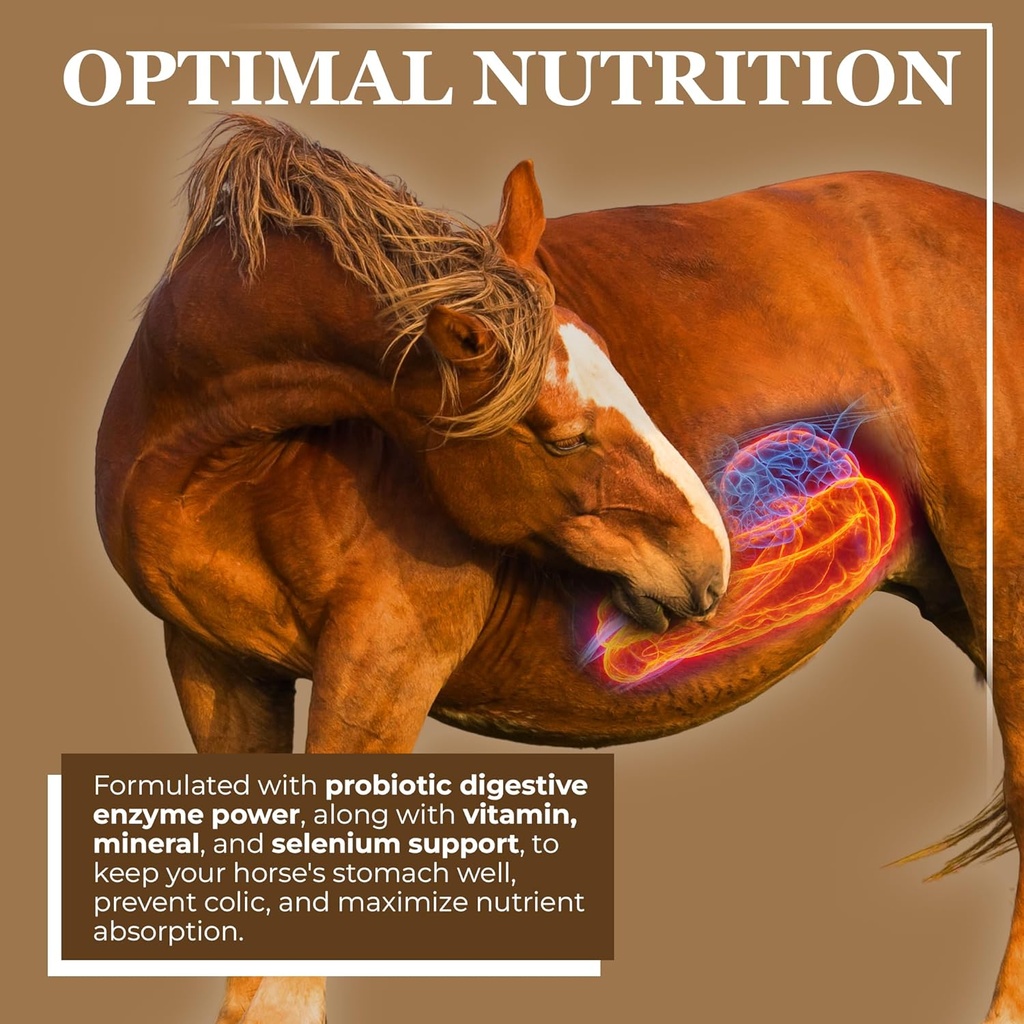 equerrys-economy-equine-supplement---hor-2.jpg