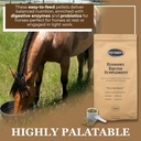 equerrys-economy-equine-supplement---hor-3.jpg