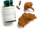 reishimax-immune-support-supplement-red--3.jpg