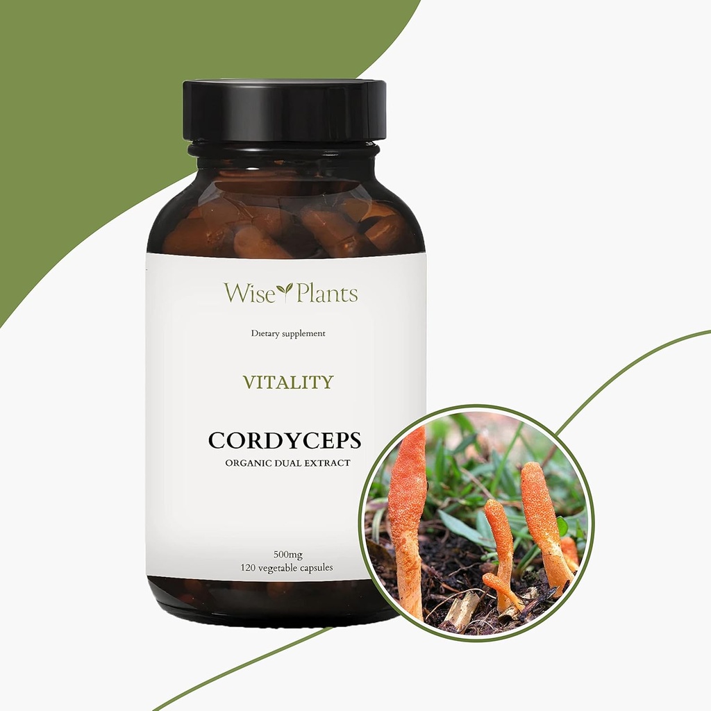 cordyceps-mushroom-supplement-dual-extra-6.jpg