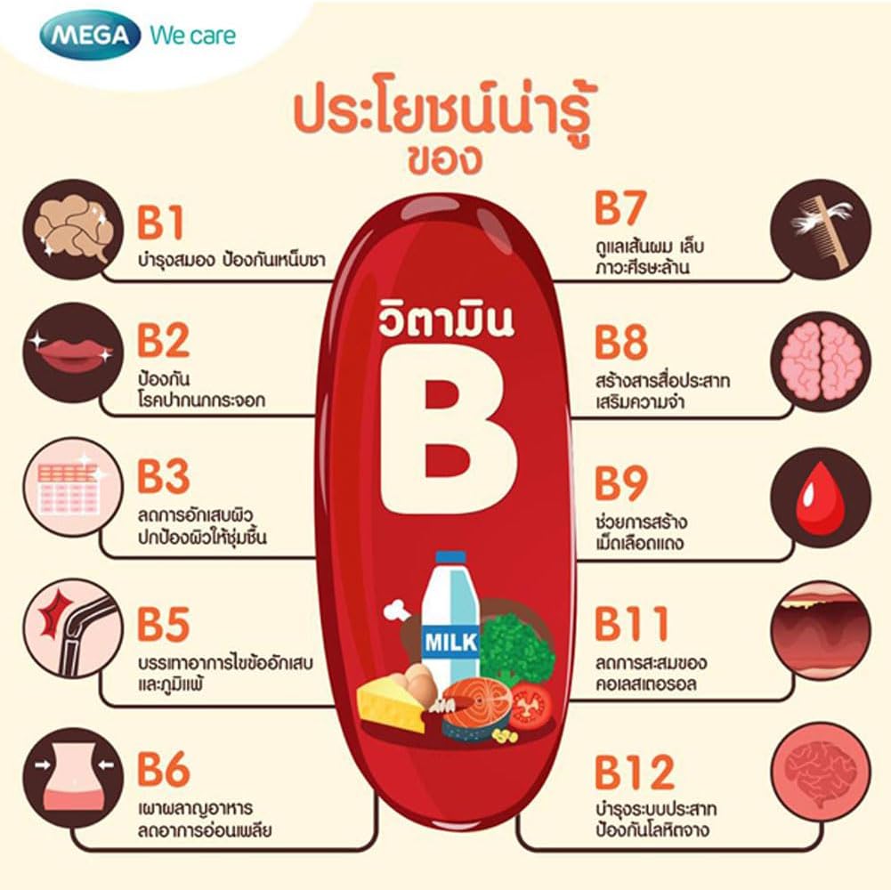 mega-we-care-nat-b-100-caphonest-succeed-6.jpg